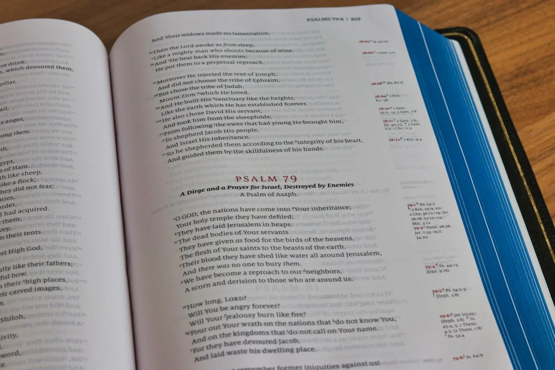 PDF document with highlights being converted into structured flashcards